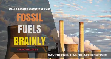 Fossil Fuels' Environmental Impact: A Major Drawback Explained
