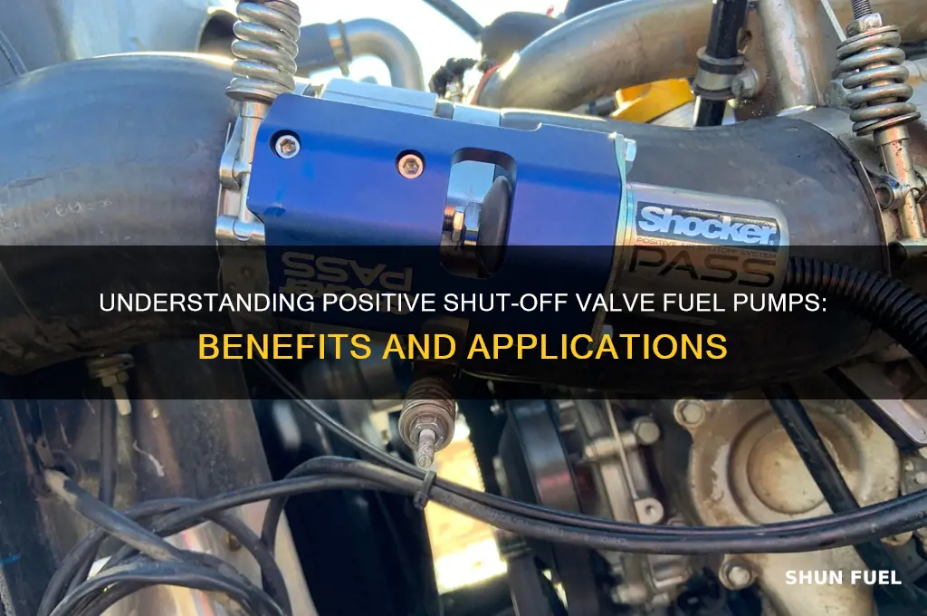 what is a positive shut off valve fuel pump