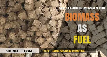 Biomass Fuel: A Sustainable Choice with Hidden Environmental Drawbacks