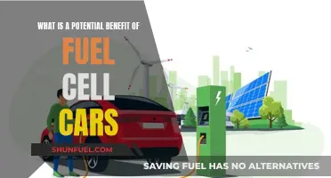 Clean Energy: Fuel Cell Cars Offer a Sustainable Advantage