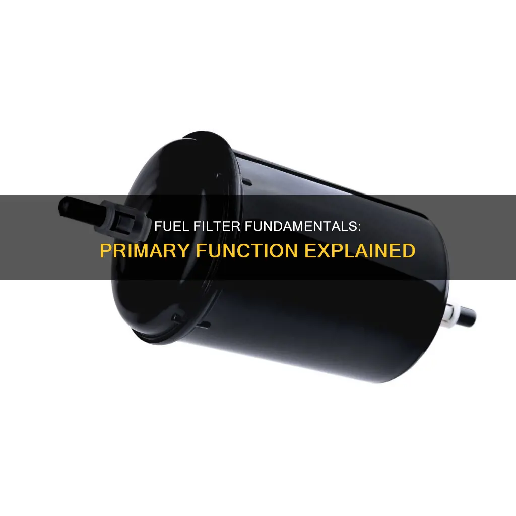 what is a primary fuel filter