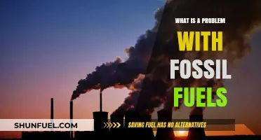 Fossil Fuels' Environmental Impact: A Growing Global Concern Explained
