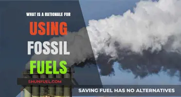 Why Fossil Fuels Remain Essential: Exploring the Practical Rationale