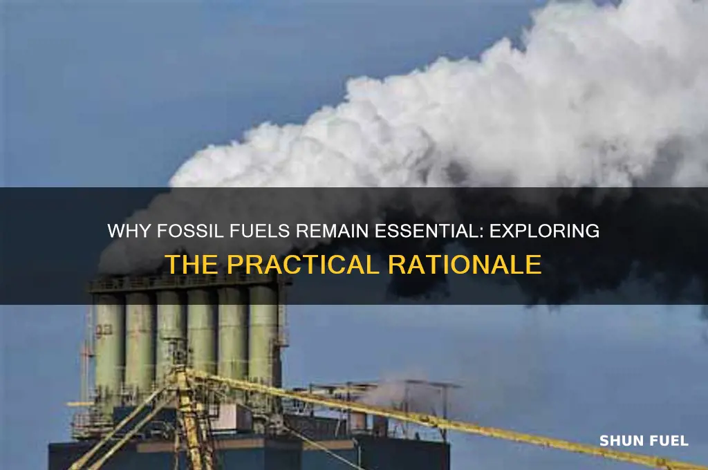 what is a rationale for using fossil fuels