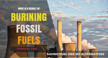 Burning Fossil Fuels: Climate Change, Pollution, and Environmental Consequences