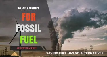 Understanding Fossil Fuel Sentencing: Legal Penalties for Environmental Offenses