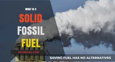 Understanding Solid Fossil Fuels: Types, Formation, and Environmental Impact