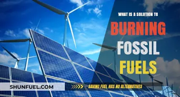 Sustainable Alternatives to Burning Fossil Fuels: Clean Energy Solutions