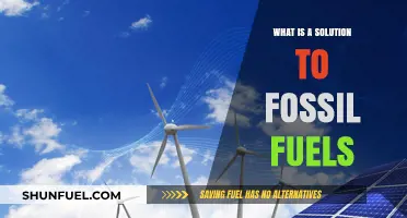 Renewable Energy: A Sustainable Solution to Replace Fossil Fuels