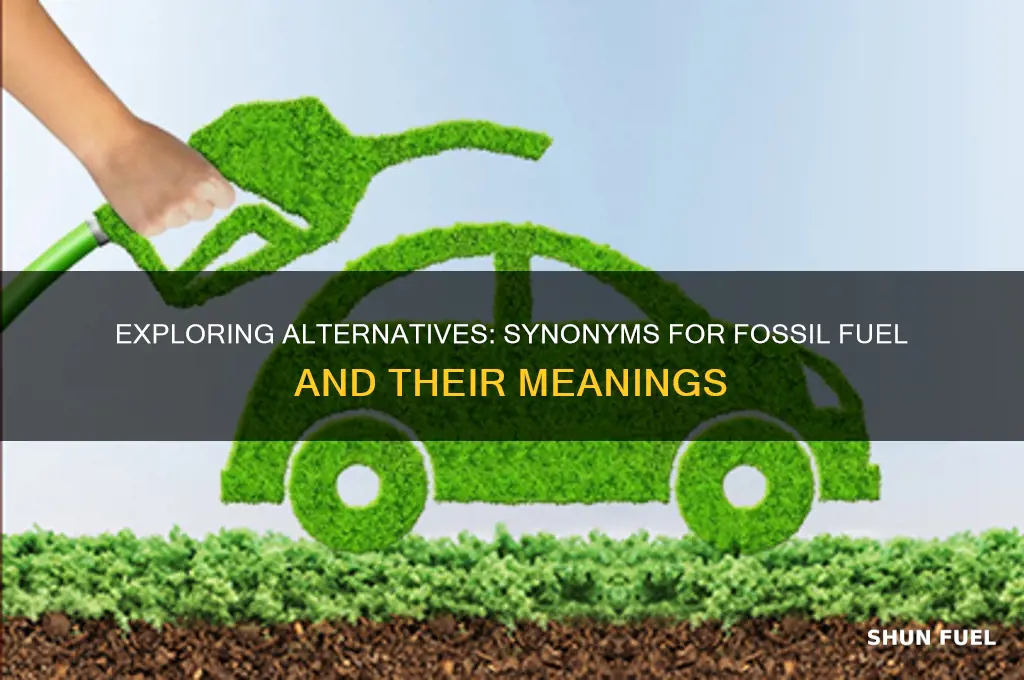 what is a synonym for fossil fuel