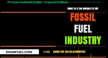 Unveiling Tax Breaks: Fossil Fuel Industry's Hidden Financial Advantages