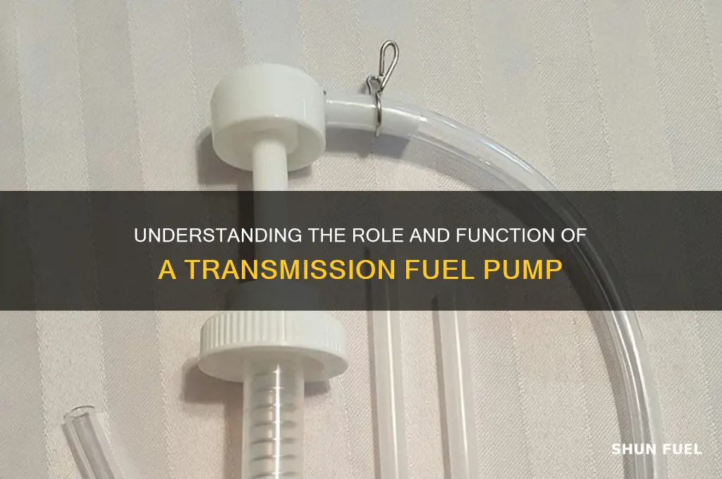what is a transmission fuel pump