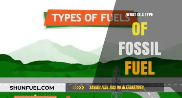 Understanding Fossil Fuels: Types, Uses, and Environmental Impact Explained
