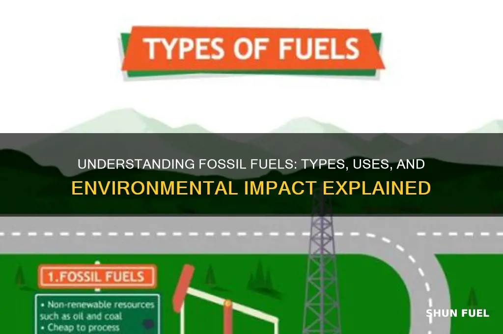 what is a type of fossil fuel