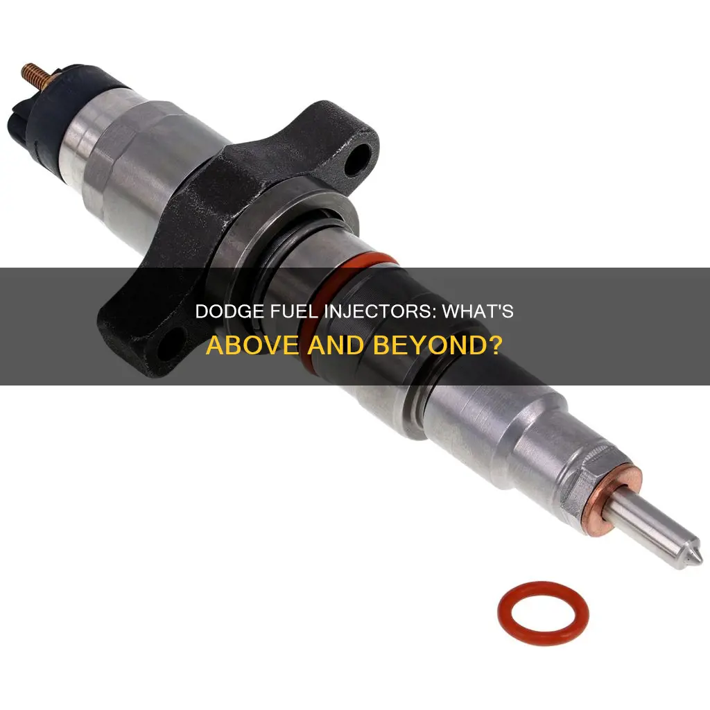 what is above fuel injectors dodge