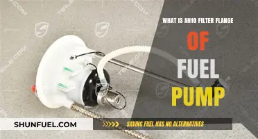 Fuel Pump's AH10 Filter Flange: What You Need to Know