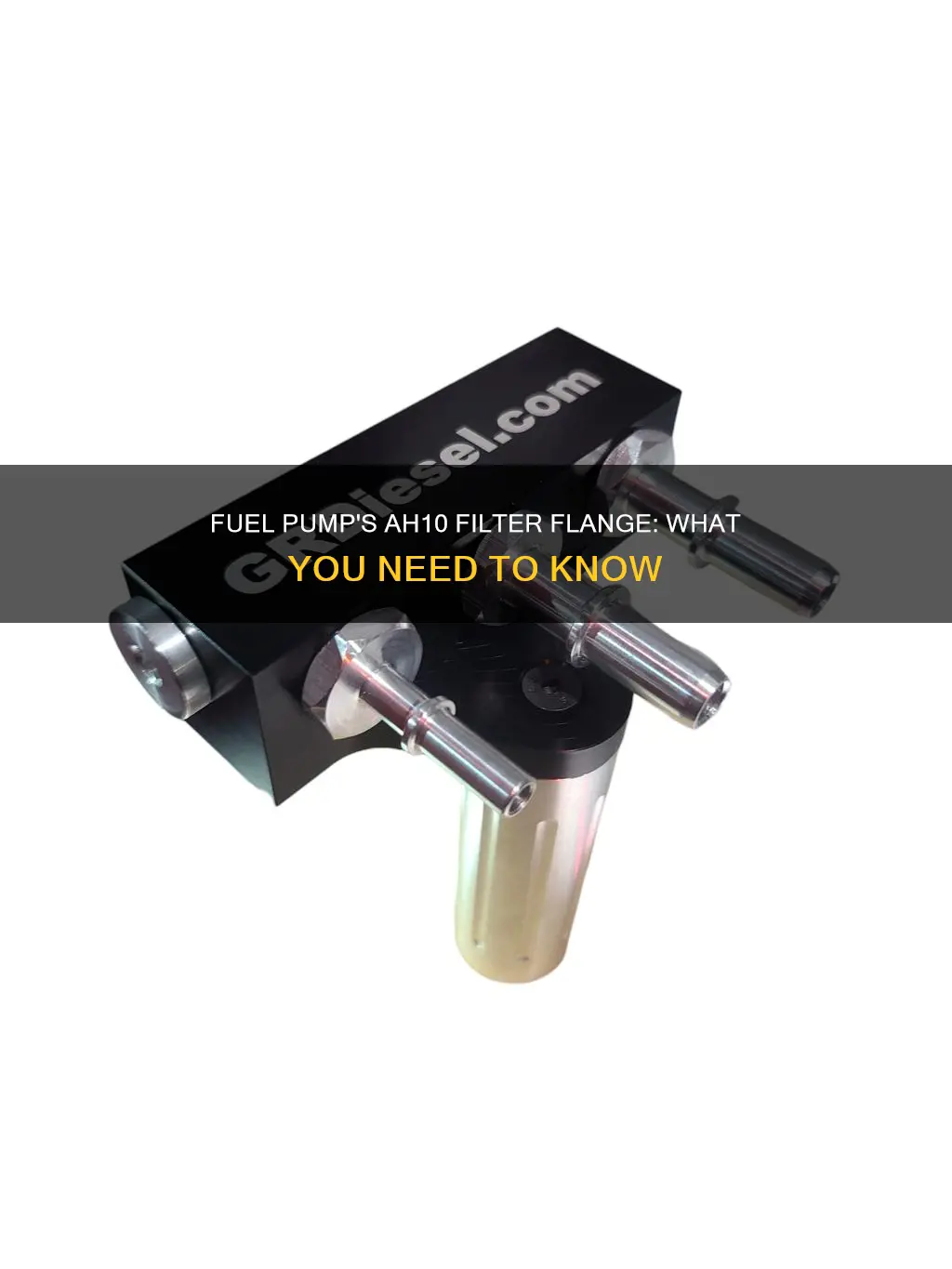 what is ah10 filter flange of fuel pump