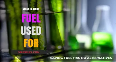 Exploring Algae Fuel: Sustainable Energy Applications and Environmental Benefits