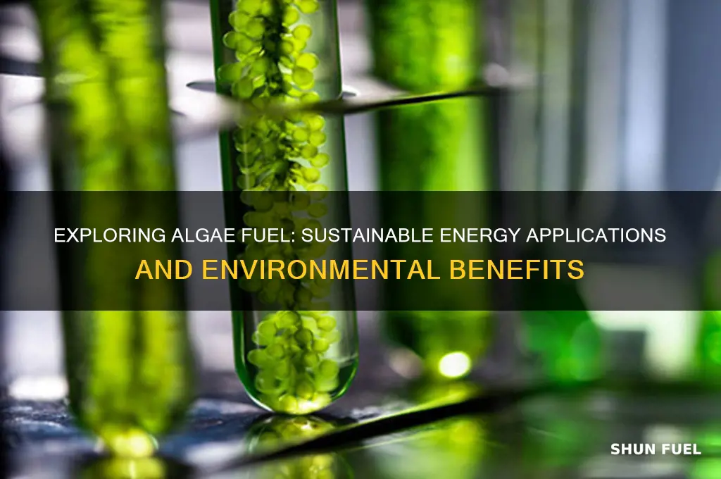 what is algae fuel used for