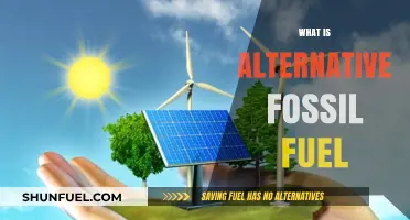 Exploring Sustainable Alternatives to Fossil Fuels for a Greener Future