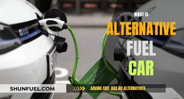 Alternative Fuel Cars: The Future of Driving