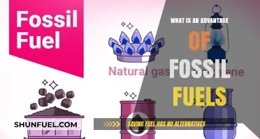 Fossil Fuels: Efficient Energy Sources