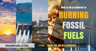 Sustainable Energy Solutions: Exploring Alternatives to Fossil Fuel Combustion