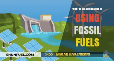 Sustainable Energy Solutions: Exploring Alternatives to Fossil Fuels for a Greener Future