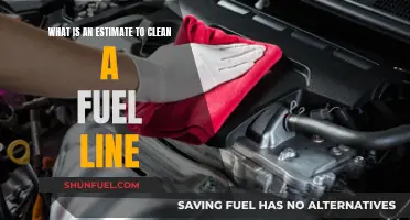 Fuel Line Cleaning: Cost Estimate for a Clean Engine
