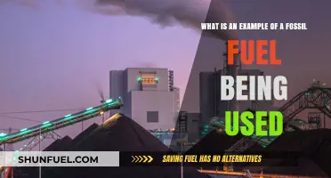 Powering the World: A Real-World Example of Fossil Fuel Use
