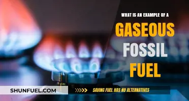 Exploring Gaseous Fossil Fuels: Natural Gas as a Prime Example