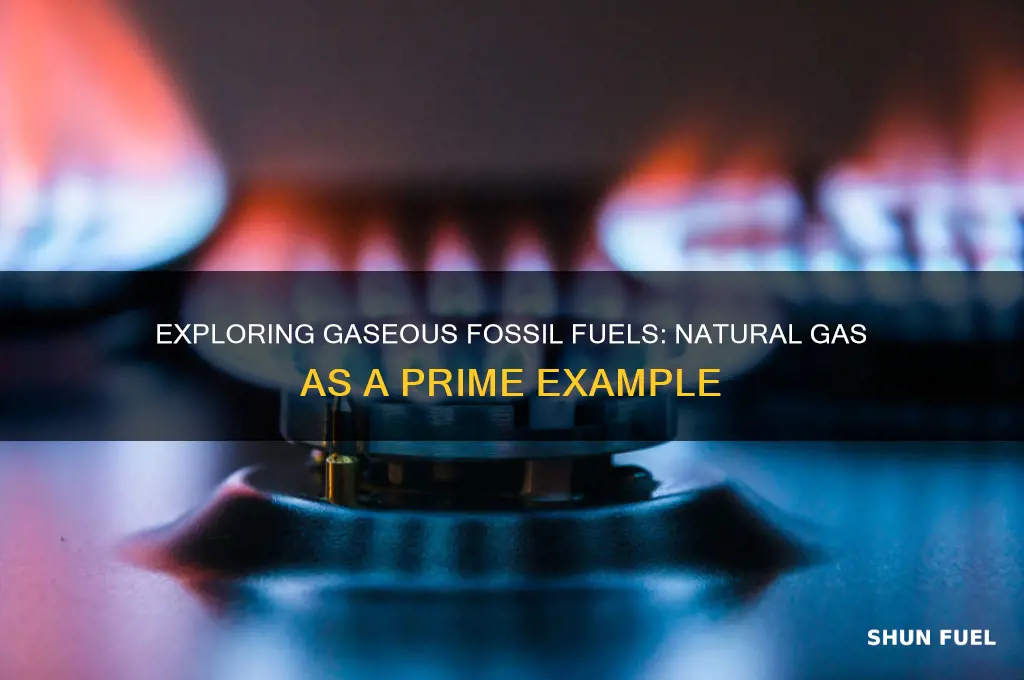 what is an example of a gaseous fossil fuel