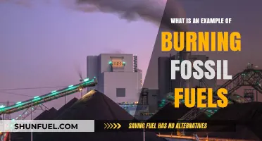 Burning Fossil Fuels: Real-World Example and Environmental Impact Explained