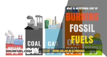 Burning Fossil Fuels: Uncovering the Hidden External Costs