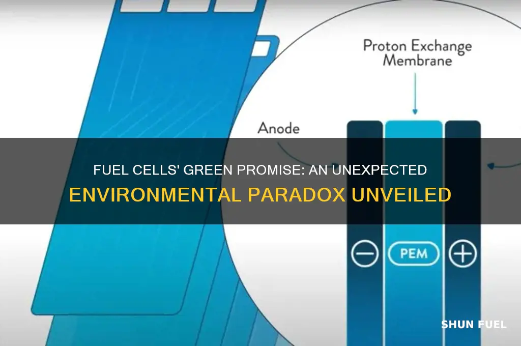 what is an ironic drawback to fuel cell use