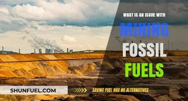 The Environmental and Economic Pitfalls of Mining Fossil Fuels
