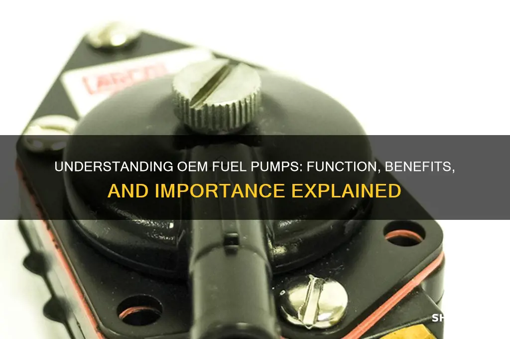 what is an oem fuel pump