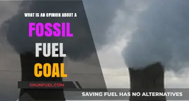 Fossil Fuel Coal: A Divisive Opinion on Its Role and Future