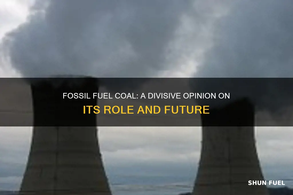 what is an opinion about a fossil fuel coal