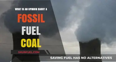 Fossil Fuel Coal: Debating Its Impact and Future in Energy