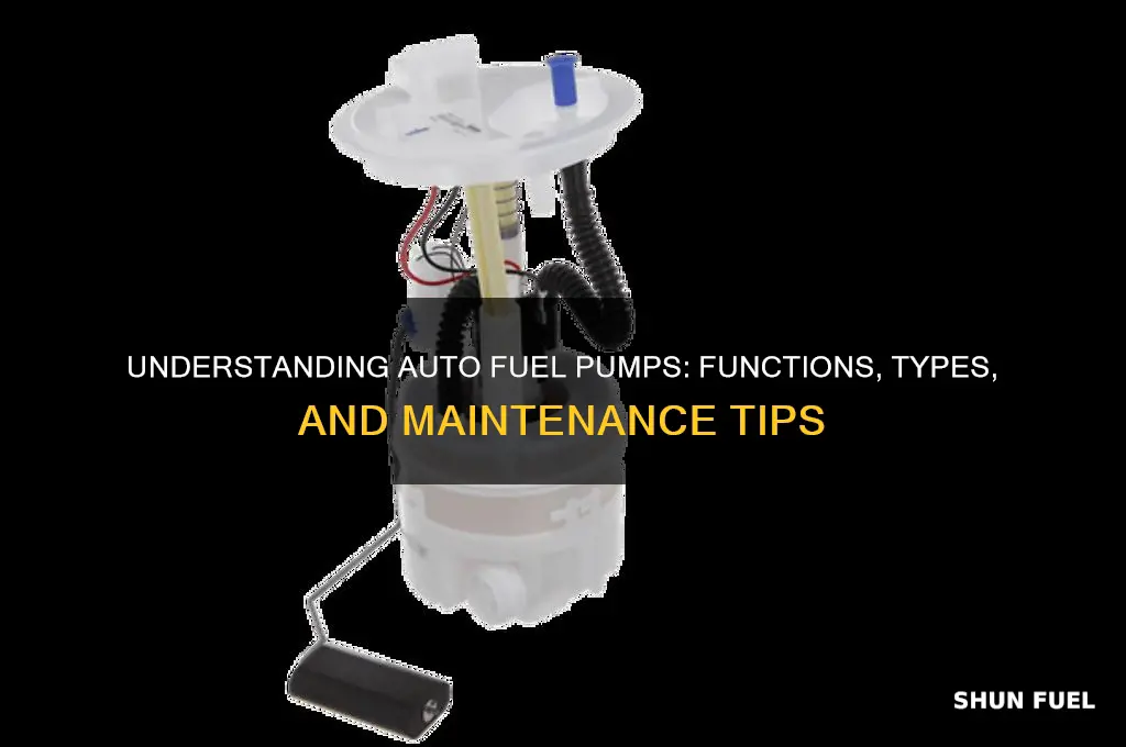 what is auto fuel pump