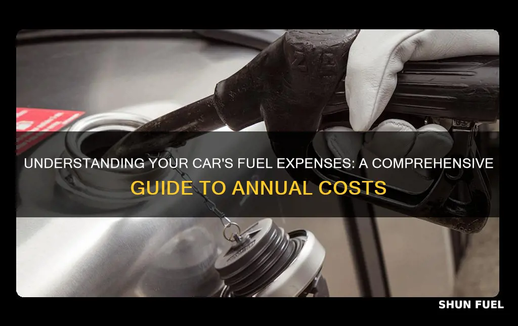 what is average annual cost of car fuel