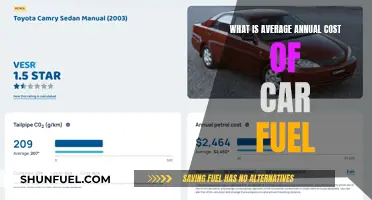 Annual Car Fuel Costs: What's the Average Expense?