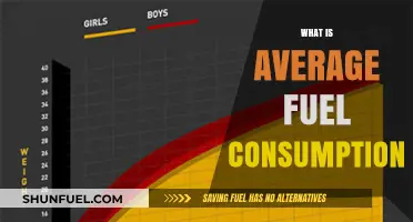 Understanding Average Fuel Consumption: A Comprehensive Guide for Drivers