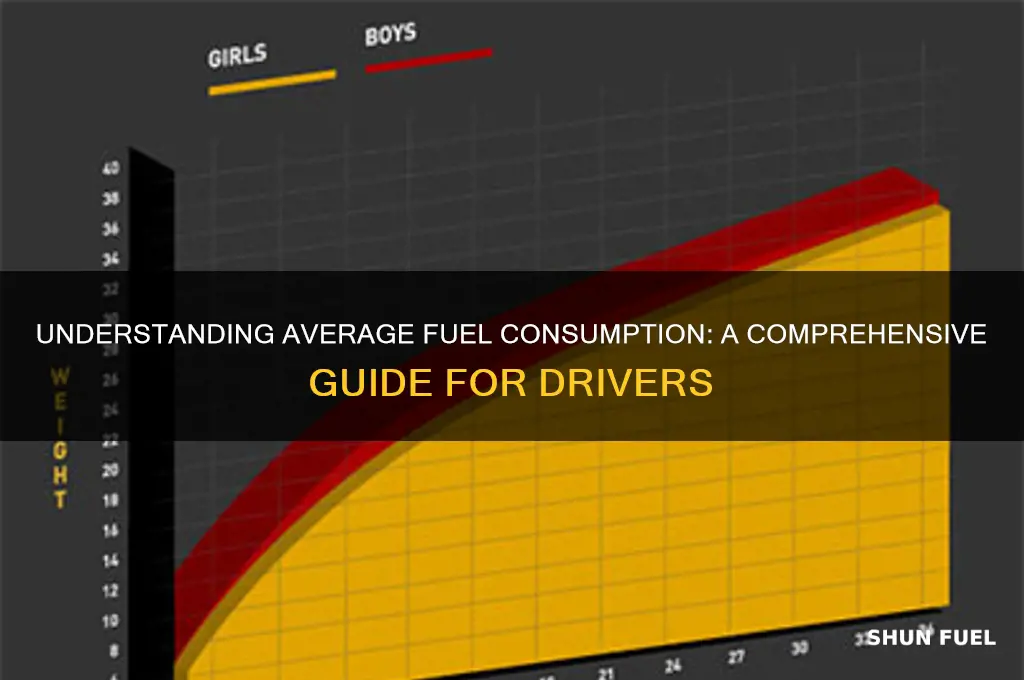 what is average fuel consumption