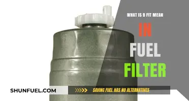 Fuel Filter Fitness: Understanding B Fit Rating