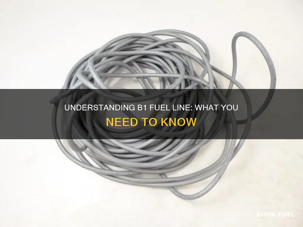 what is b1 fuel line