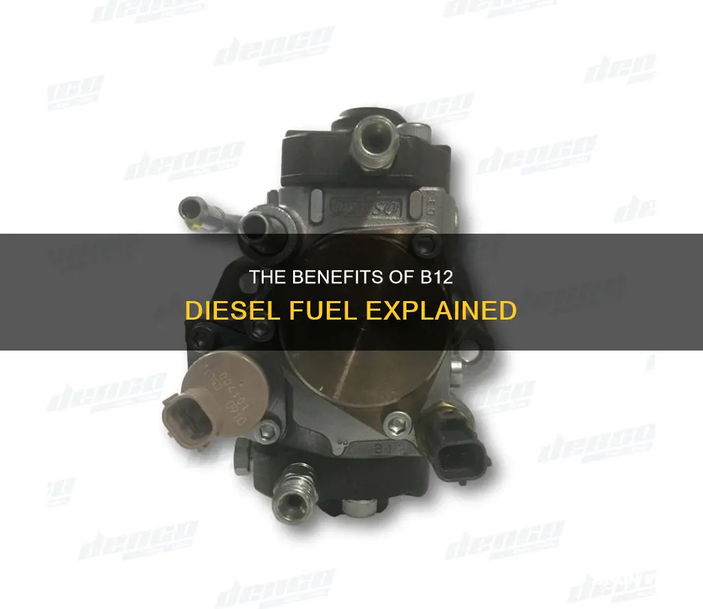 what is b12 diesel fuel