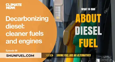 Diesel Fuel: Dirty, Dangerous, and Expensive
