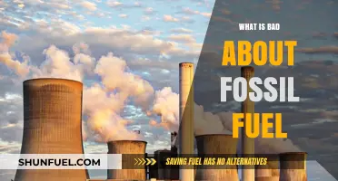 Fossil Fuels' Dark Side: Environmental, Health, and Climate Impacts Explained